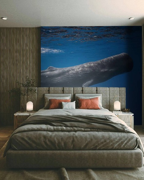 MARBURG | Ocean Sperm Whale